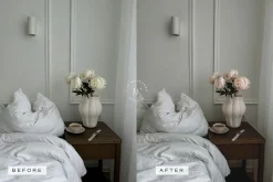 5 Blogger LR Presets + Video LUTs