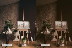 5 Dark Academia Lightroom Presets