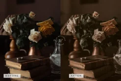 5 Dark Academia Lightroom Presets