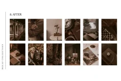 5 Dark Academia Lightroom Presets