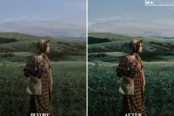 10 EMORIAL FILM Lightroom Presets