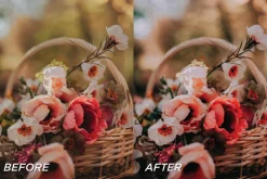 25 Film LR Presets + Video Filters