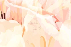 44 floral abstraction vector set