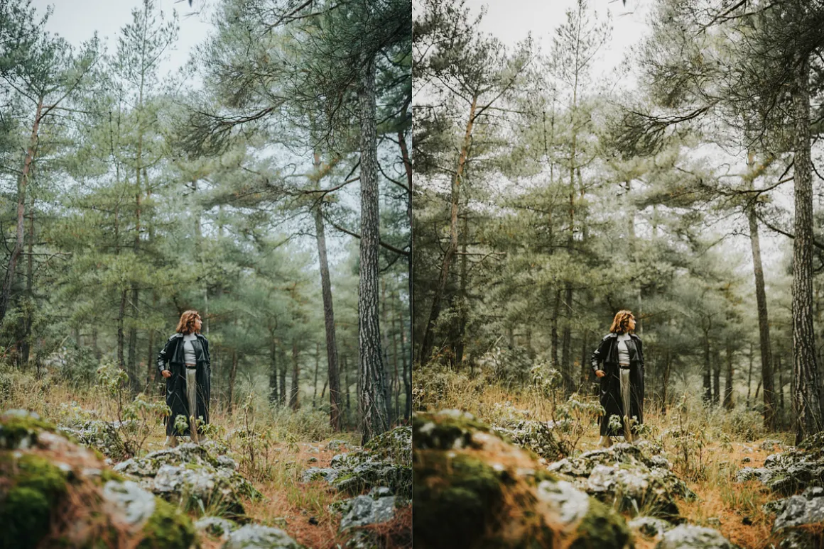 10 Fuji Film Look Lightroom Presets