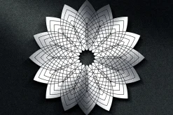 24 Geometric Shapes - Lines (v.2)
