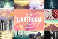 50 Lightroom Presets Bundle