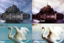 50 Lightroom Presets Bundle