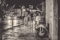 50 Monochromatic Presets for Ps - Lr