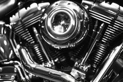 31 Motorcycle engines