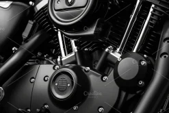 31 Motorcycle engines