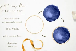42 Navy and gold elements for logo