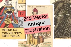 251 Set element antique Playing Card