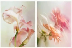 20 Soft Blurred Florals Backgrounds