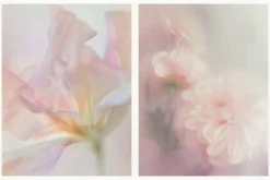 20 Soft Blurred Florals Backgrounds