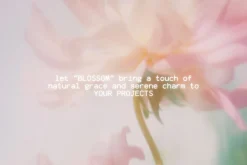 20 Soft Blurred Florals Backgrounds