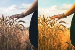 4 Summer Lightroom Presets