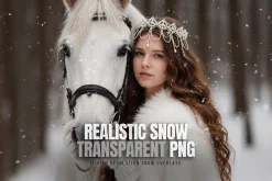11 Transparent PNG Snow Overlays
