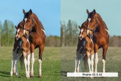 20 Western Lightroom Presets LUTs