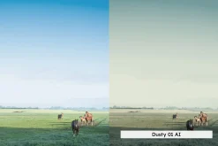 20 Western Lightroom Presets LUTs