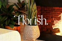Abigale | Modern Serif Font