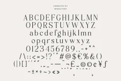 Abigale | Modern Serif Font