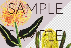 Aboriginal Style Flower Clipart PNG