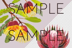 Aboriginal Style Flower Clipart PNG