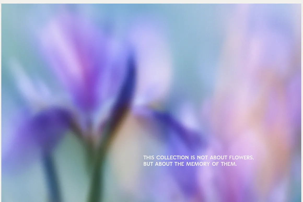 Abstract Blurry Botanical Bundle