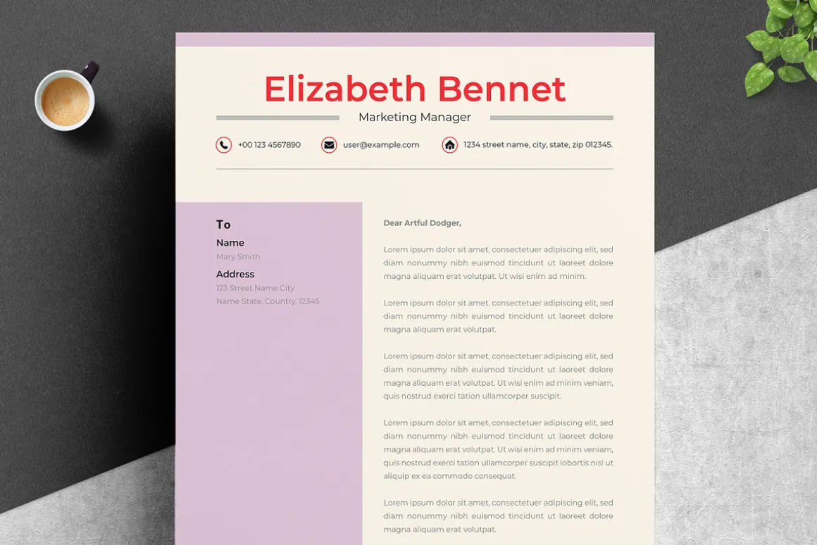 Academic Resume with Modern Look