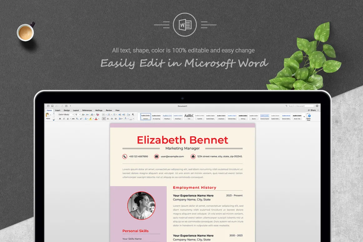 Academic Resume with Modern Look