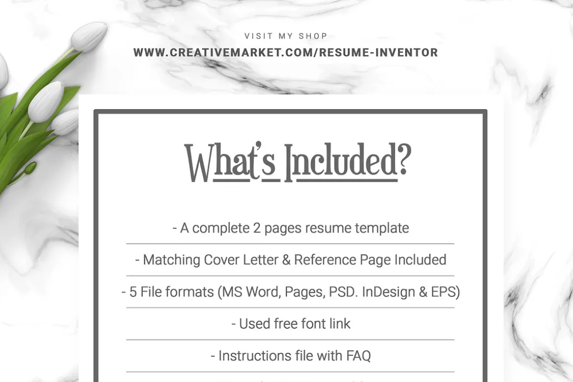 A4 Curriculum Vitae + Cover Letter