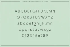 Adagio Decorative Ligature Font Duo