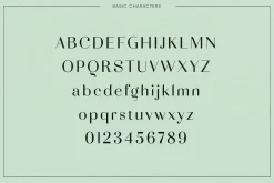 Adagio Decorative Ligature Font Duo