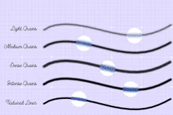 Adobe Illustrator Brush Set Grains