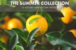 Adobe Lightroom Presets Summer