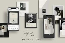 Aesthetic Bundle Canva templates