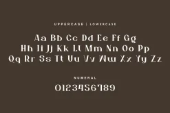 Aesthetic Mofash - Luxury Bold Font