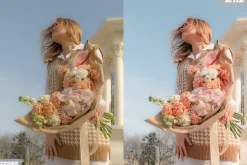 Aesthetics Matte Lightroom Presets