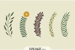 Affinity Flower & Foliage Brushes