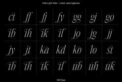 Aida | 10 Font Ligature Serif