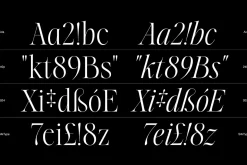 Aida | 10 Font Ligature Serif
