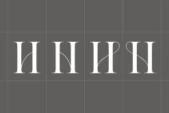 Aida | 10 Font Ligature Serif