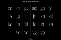 Aida | 10 Font Ligature Serif