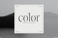 Aida | 10 Font Ligature Serif