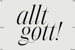Aida | 10 Font Ligature Serif