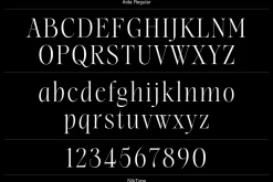 Aida | 10 Font Ligature Serif