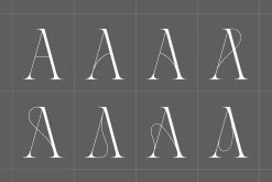 Aida | 10 Font Ligature Serif