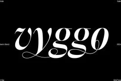 Aida | 10 Font Ligature Serif