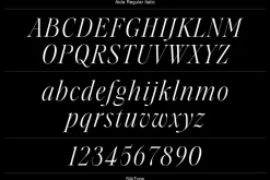 Aida | 10 Font Ligature Serif
