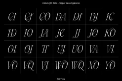 Aida | 10 Font Ligature Serif